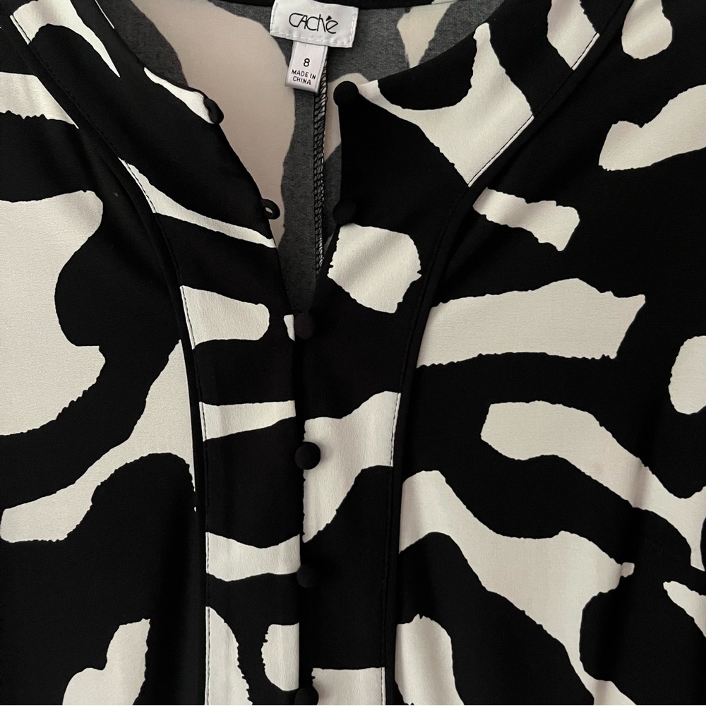 Cache Shift Dress 8 - Picture 2 of 5